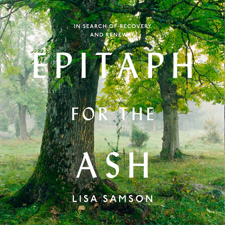 Cover image for Epitaph for the Ash: In Search of Recovery and Renewal, isbn: 9780008141073