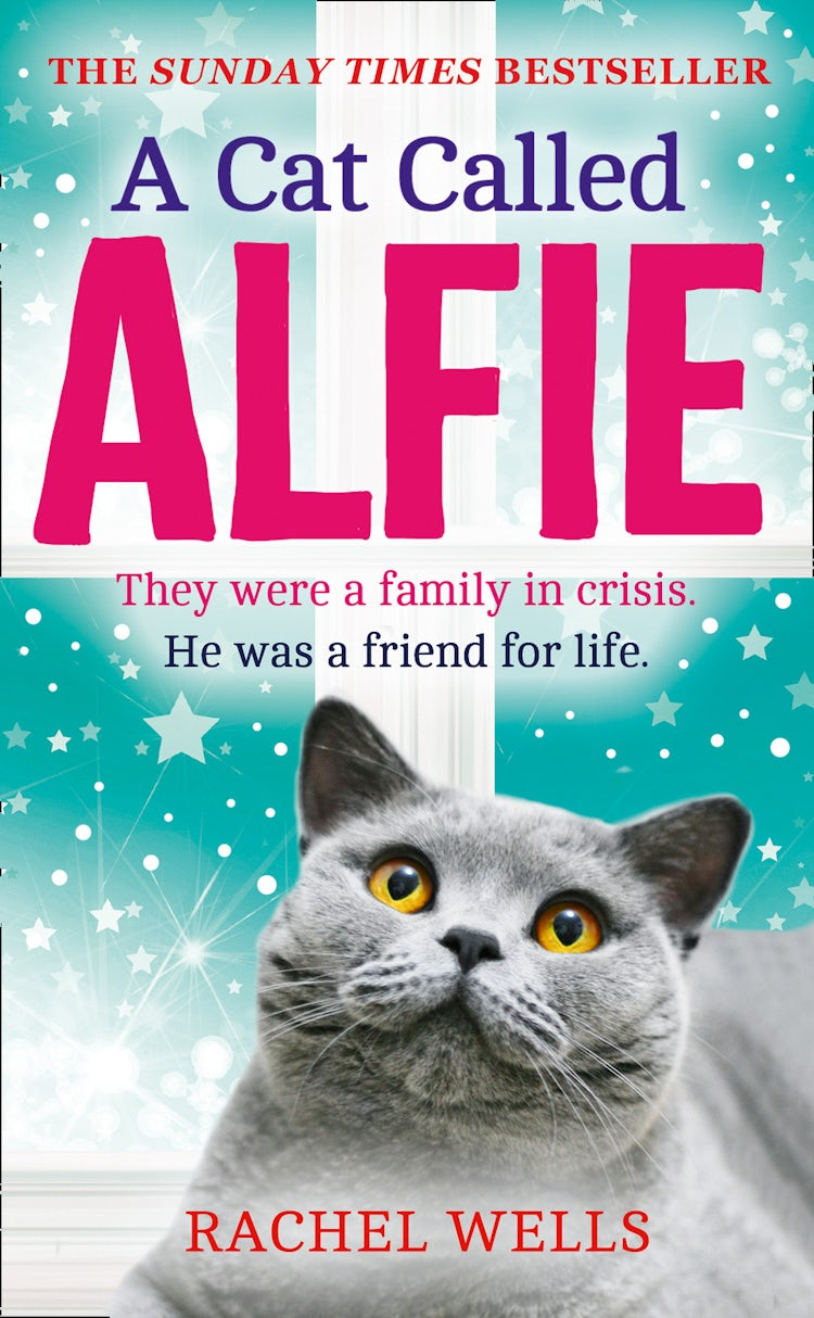 Cover image for A Cat Called Alfie (Alfie series, Book 2), isbn: 9780008142209