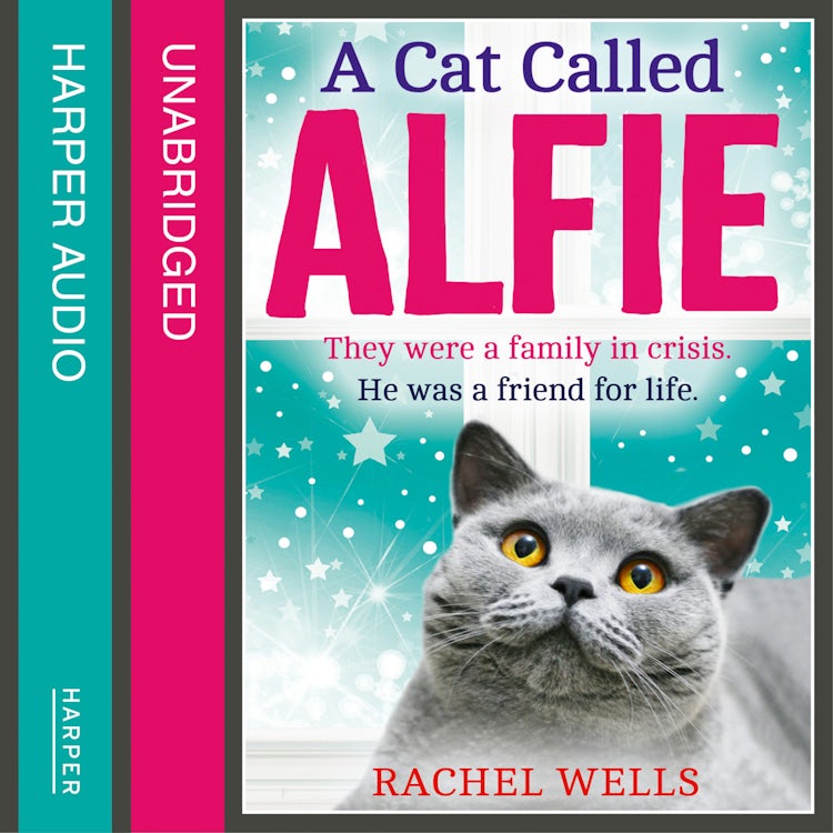Cover image for A Cat Called Alfie: The perfect book to warm your heart this Christmas (Alfie series, Book 2), isbn: 9780008142476
