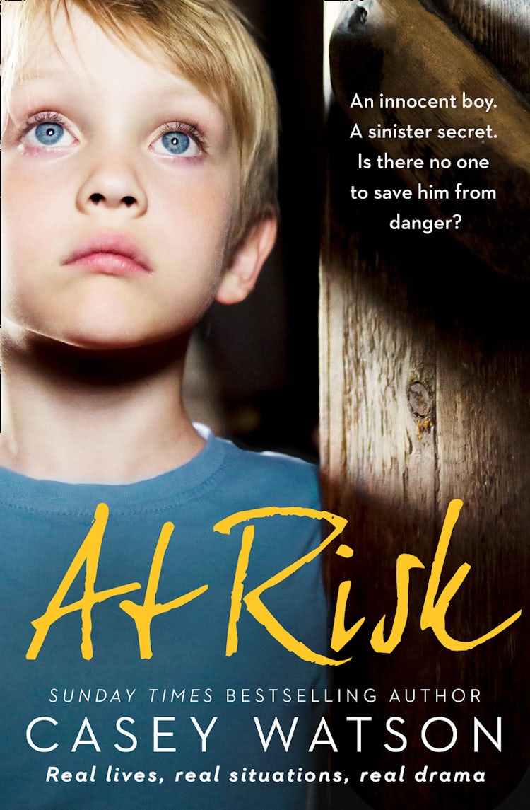 Cover image for At Risk: An innocent boy. A sinister secret. Is there no one to save him from danger?, isbn: 9780008142728