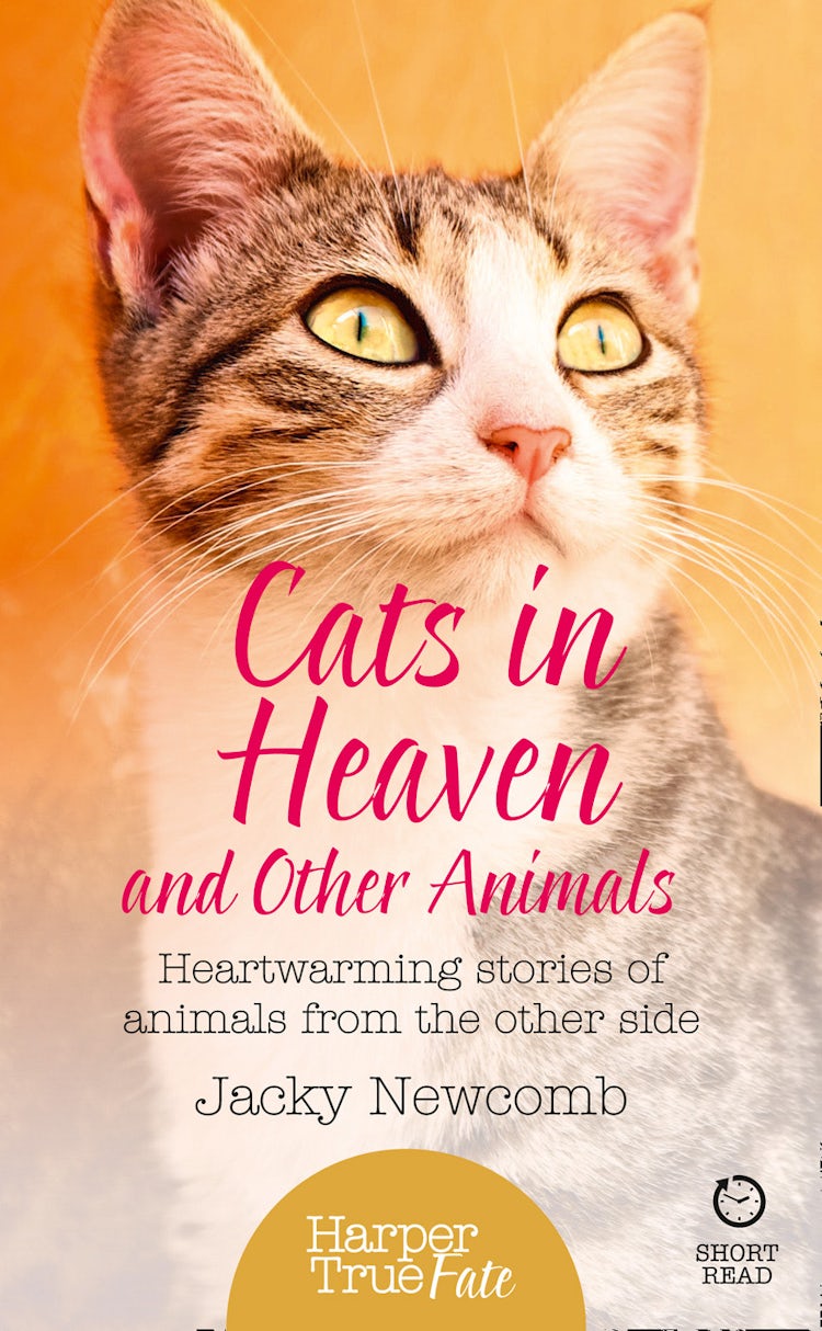 Cover image for Cats in Heaven: And Other Animals. Heartwarming stories of animals from the other side. (HarperTrue Fate – A Short Read), isbn: 9780008144463