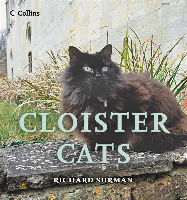 Cover image for Cloister Cats, isbn: 9780008144609