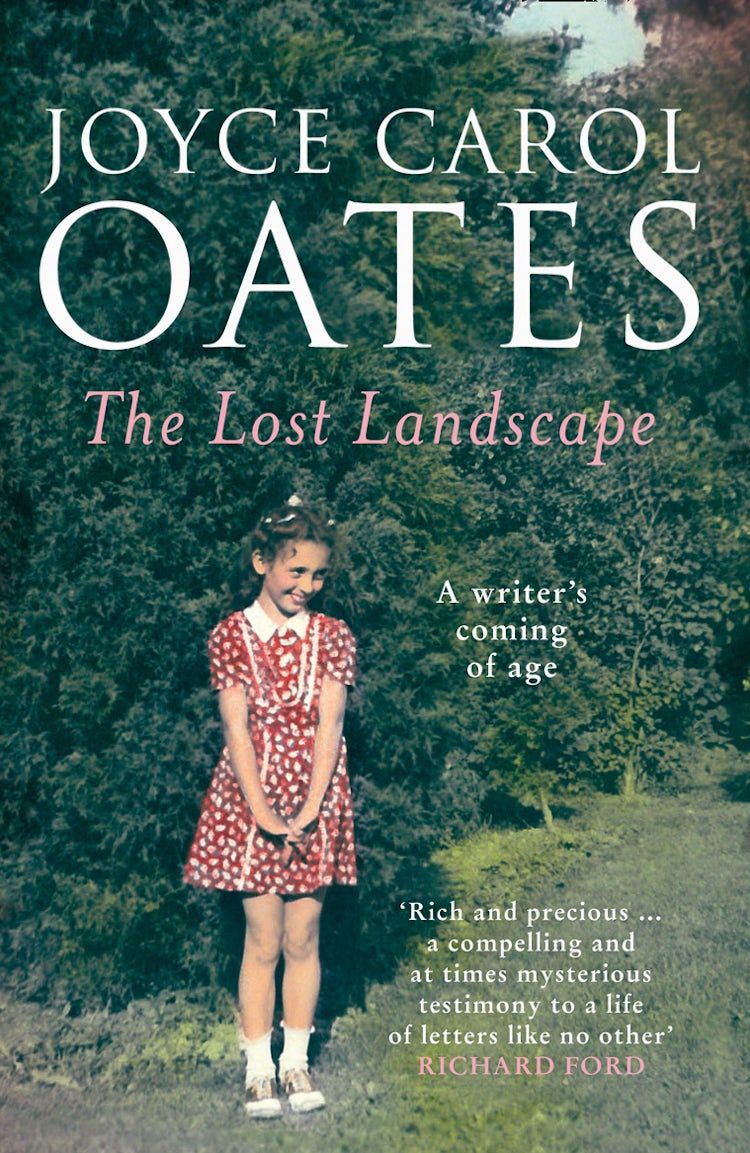 Cover image for The Lost Landscape, isbn: 9780008146603