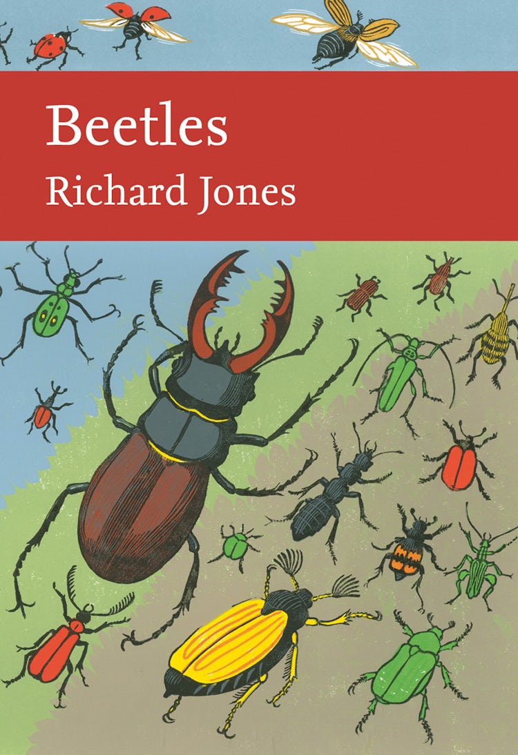 Cover image for Beetles (Collins New Naturalist Library, Book 136), isbn: 9780008149512
