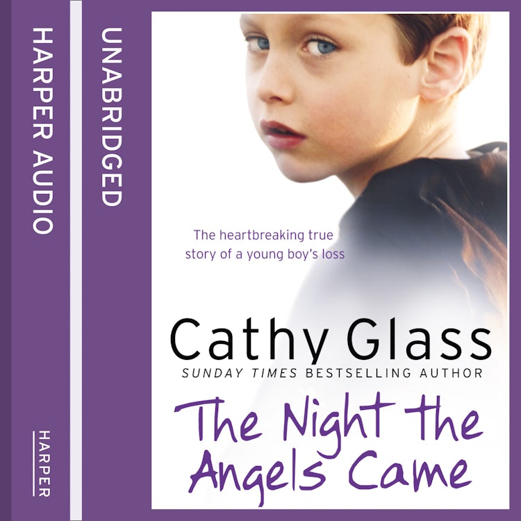 Cover image for The Night the Angels Came, isbn: 9780008150518