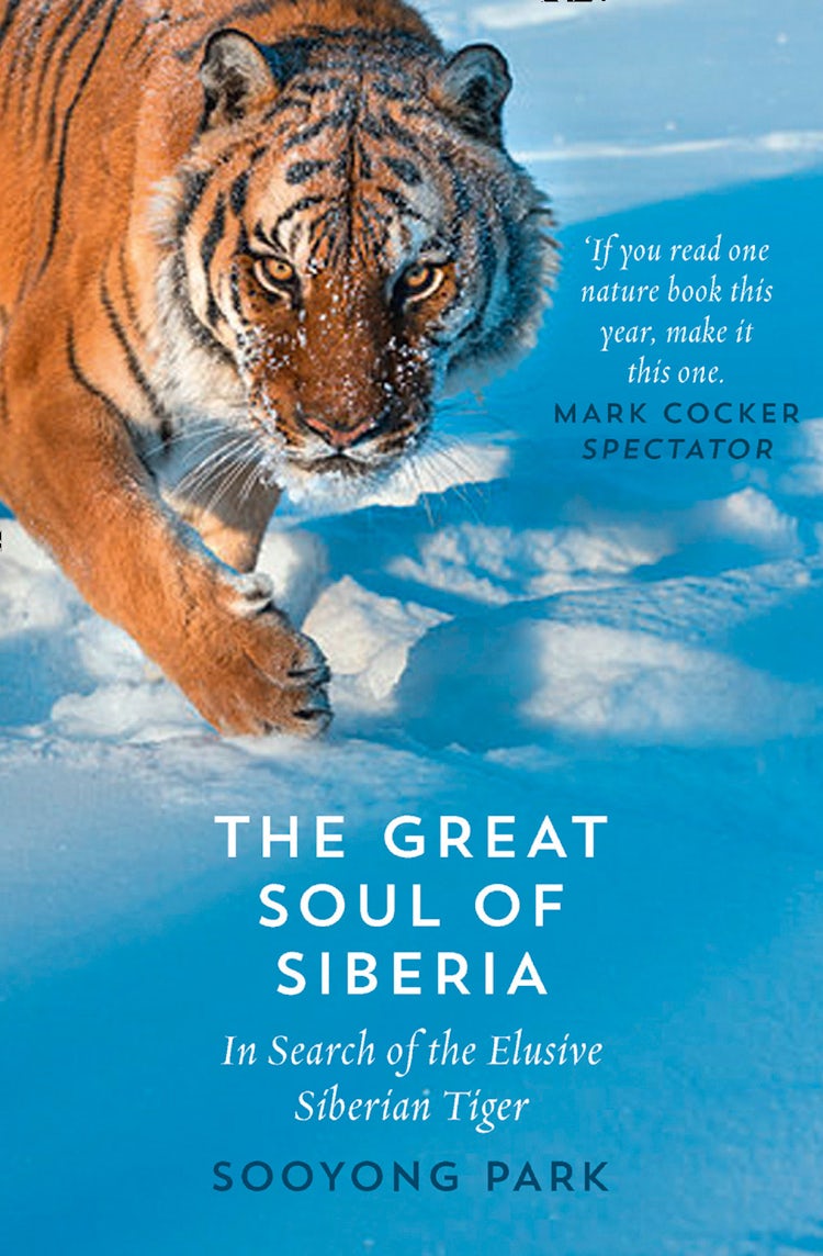 Cover image for The Great Soul of Siberia: In Search of the Elusive Siberian Tiger, isbn: 9780008156169