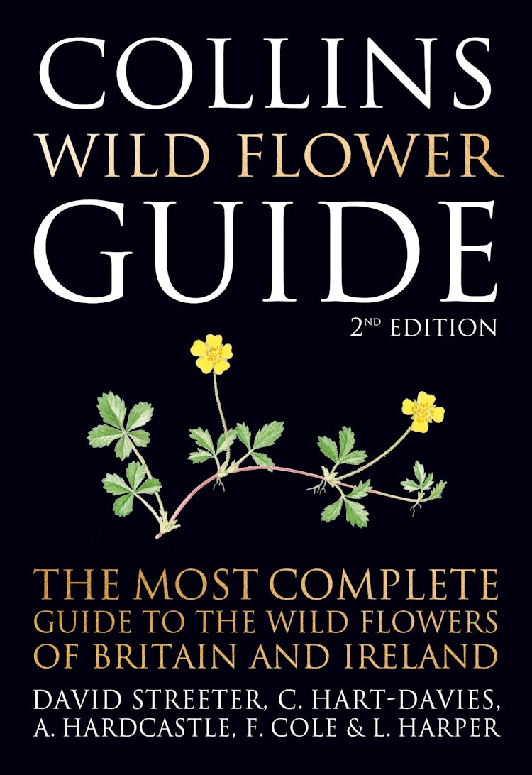 Cover image for Collins Wild Flower Guide, isbn: 9780008156749