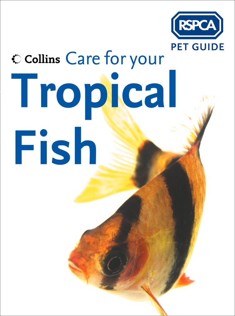 Cover image for Care for your Tropical Fish (RSPCA Pet Guide), isbn: 9780008161170