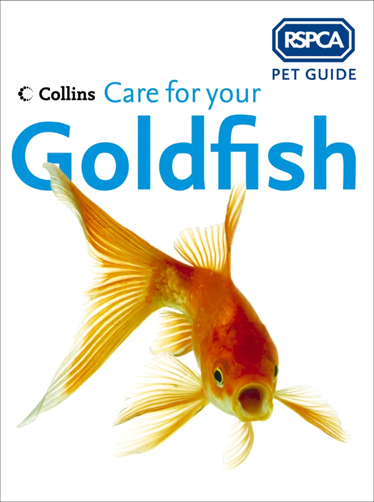 Cover image for Care for your Goldfish (RSPCA Pet Guide), isbn: 9780008161187