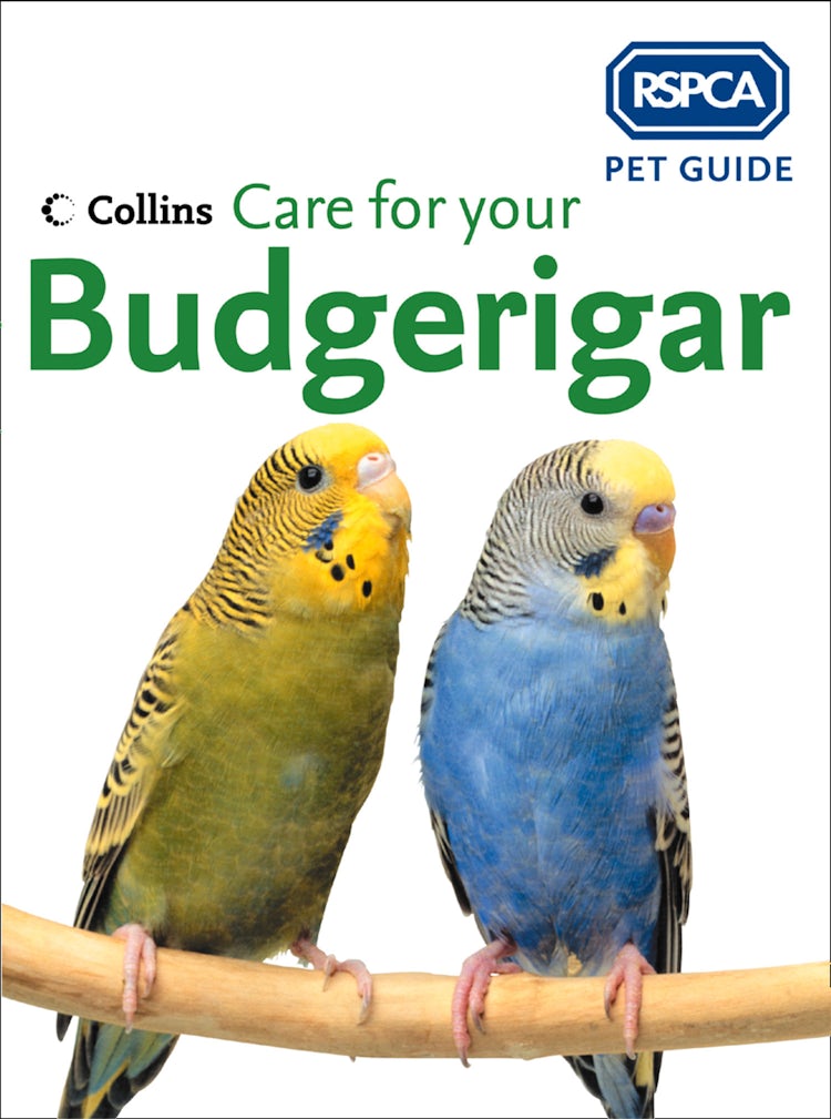Cover image for Care for your Budgerigar (RSPCA Pet Guide), isbn: 9780008161200