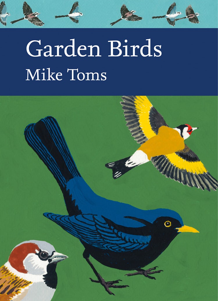 Cover image for Garden Birds (Collins New Naturalist Library, Book 140), isbn: 9780008164768