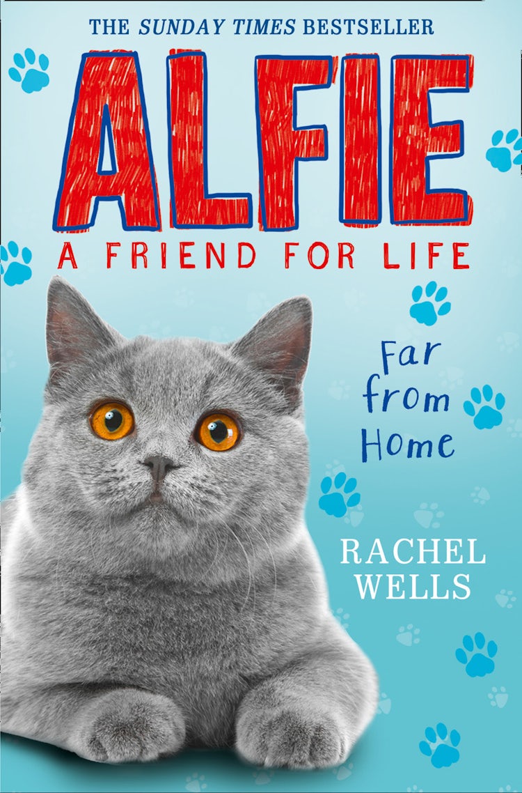 Cover image for Alfie Far From Home, isbn: 9780008172060
