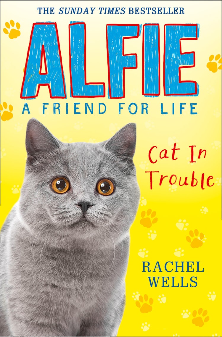 Cover image for Alfie Cat in Trouble, isbn: 9780008172084