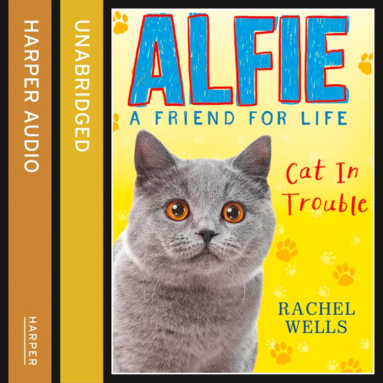 Cover image for Alfie Cat In Trouble, isbn: 9780008172107