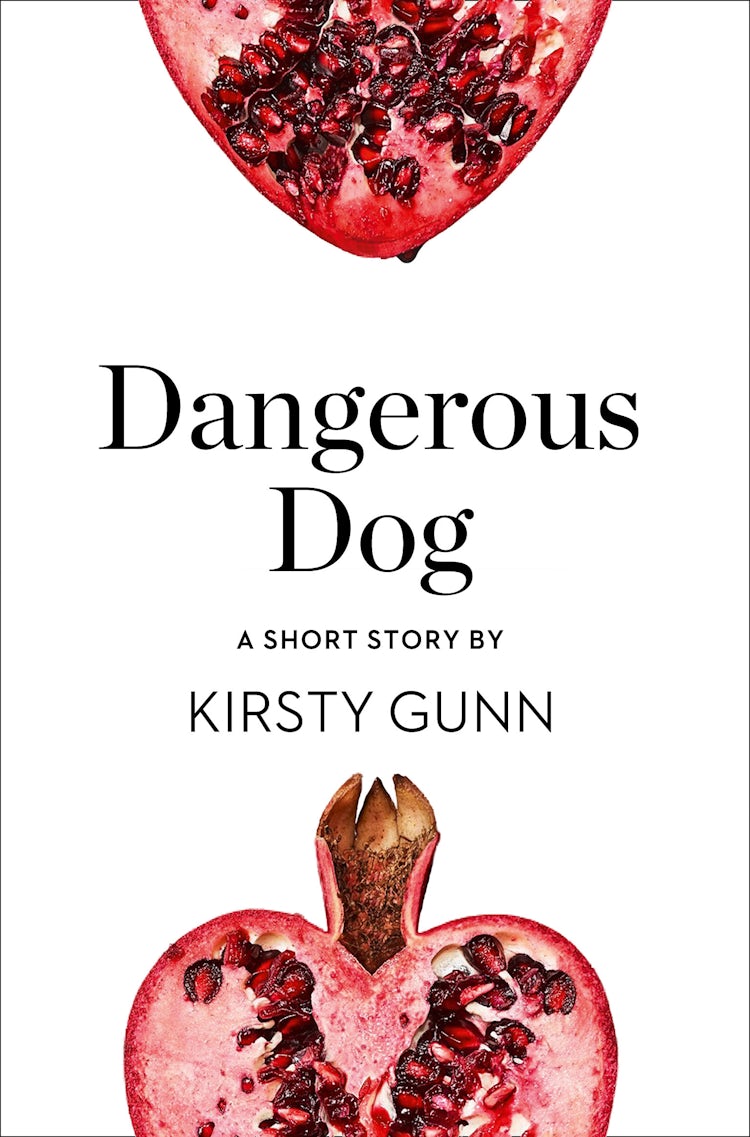 Cover image for Dangerous Dog: A Short Story from the collection, Reader, I Married Him, isbn: 9780008173357