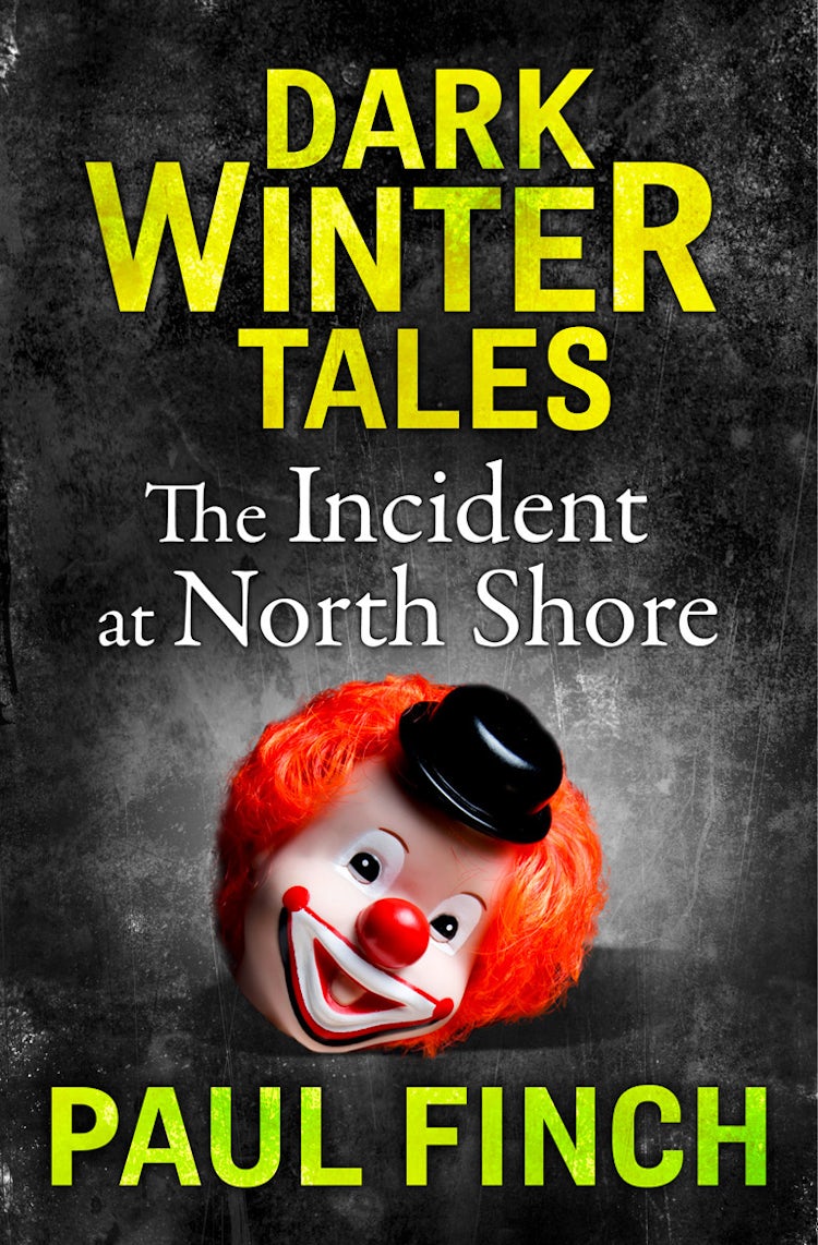 Cover image for The Incident at North Shore (Dark Winter Tales), isbn: 9780008173708
