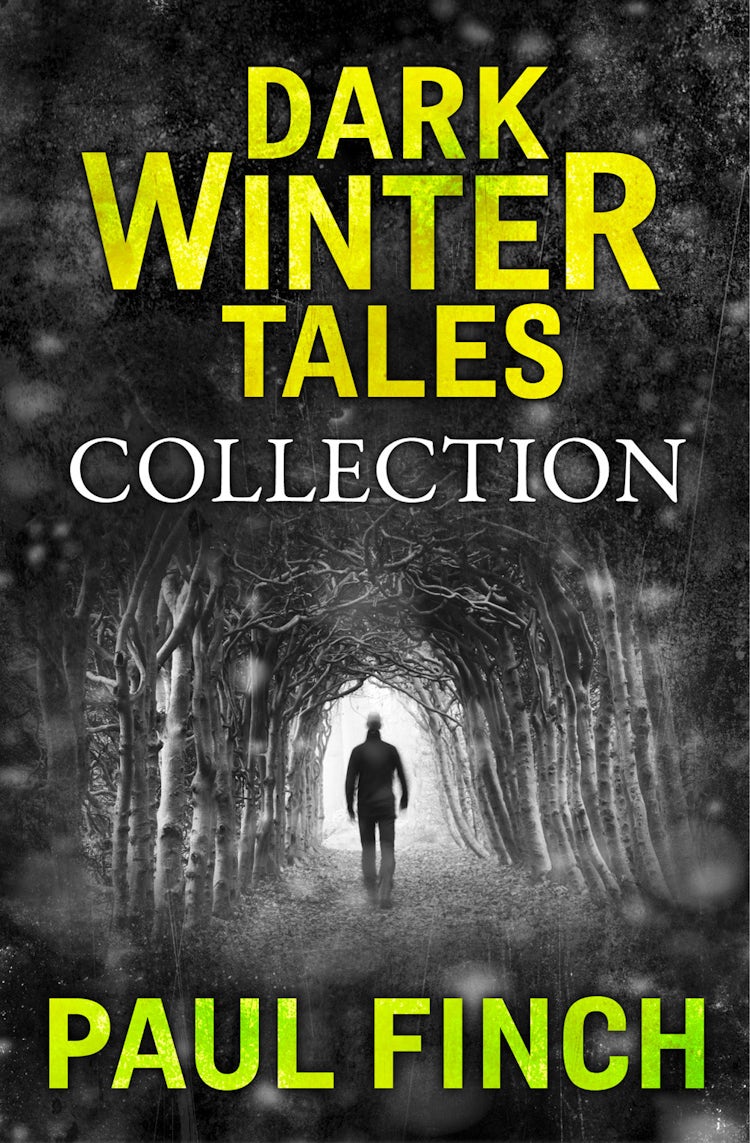 Cover image for Dark Winter Tales: a collection of horror short stories (Dark Winter Tales), isbn: 9780008173777