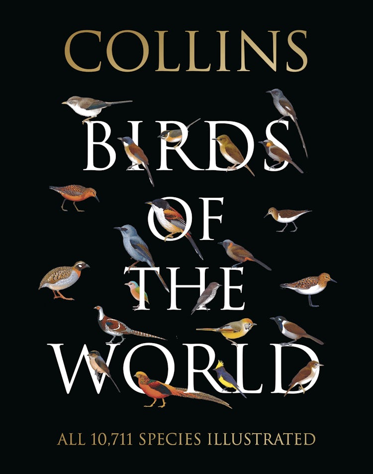 Cover image for Collins Birds of the World, isbn: 9780008174002