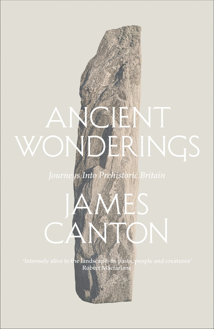 Cover image for Ancient Wonderings: Journeys Into Prehistoric Britain, isbn: 9780008175214