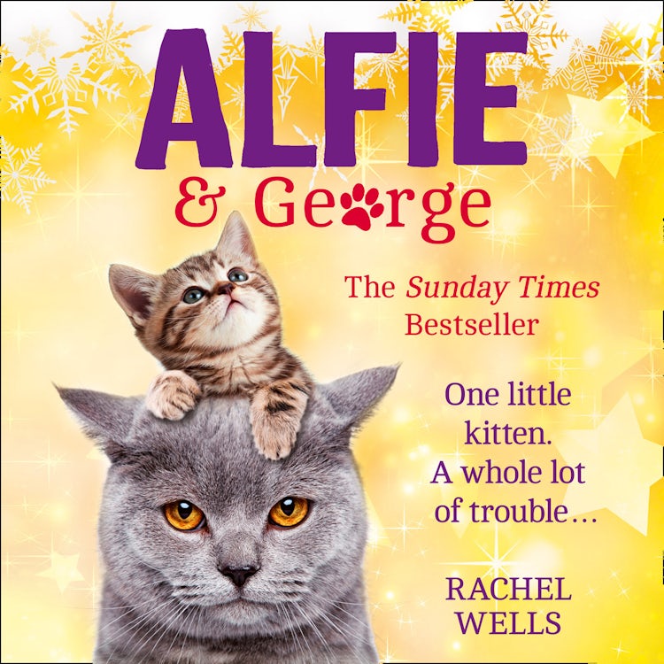 Cover image for Alfie and George: A heart-warming tale about how one cat and his kitten brought a street together (Alfie series, Book 3), isbn: 9780008181666