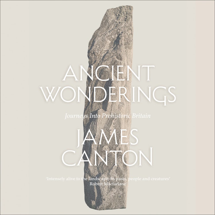 Cover image for Ancient Wonderings: Journeys Into Prehistoric Britain, isbn: 9780008181901