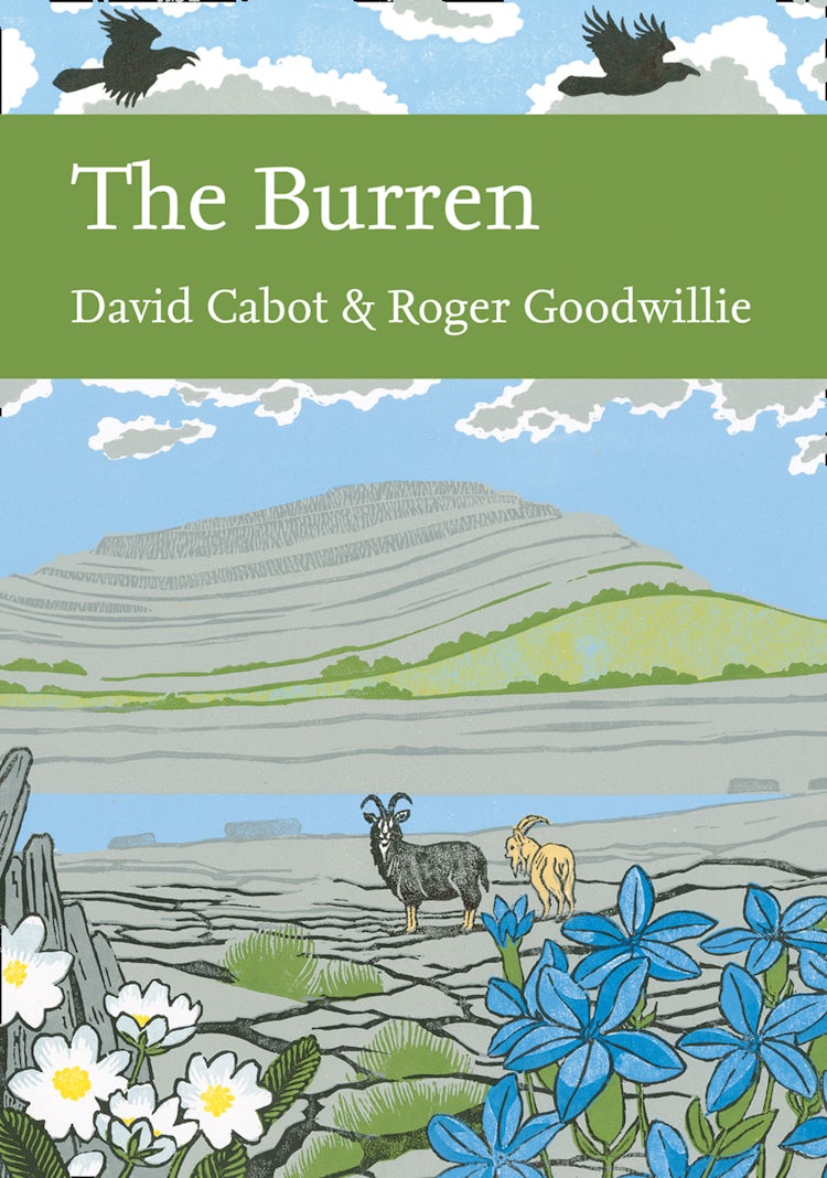 Cover image for The Burren (Collins New Naturalist Library, Book 138), isbn: 9780008183806