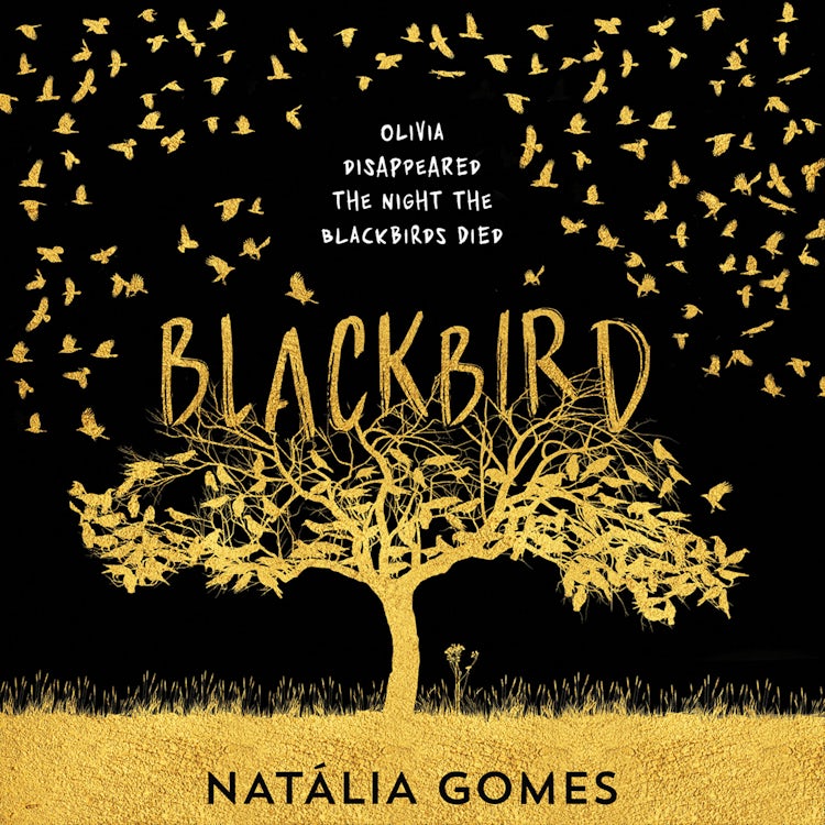 Cover image for Blackbird: A dark murder mystery that fans of 13 Reasons Why, John Green and Jennifer Niven will devour, isbn: 9780008184872