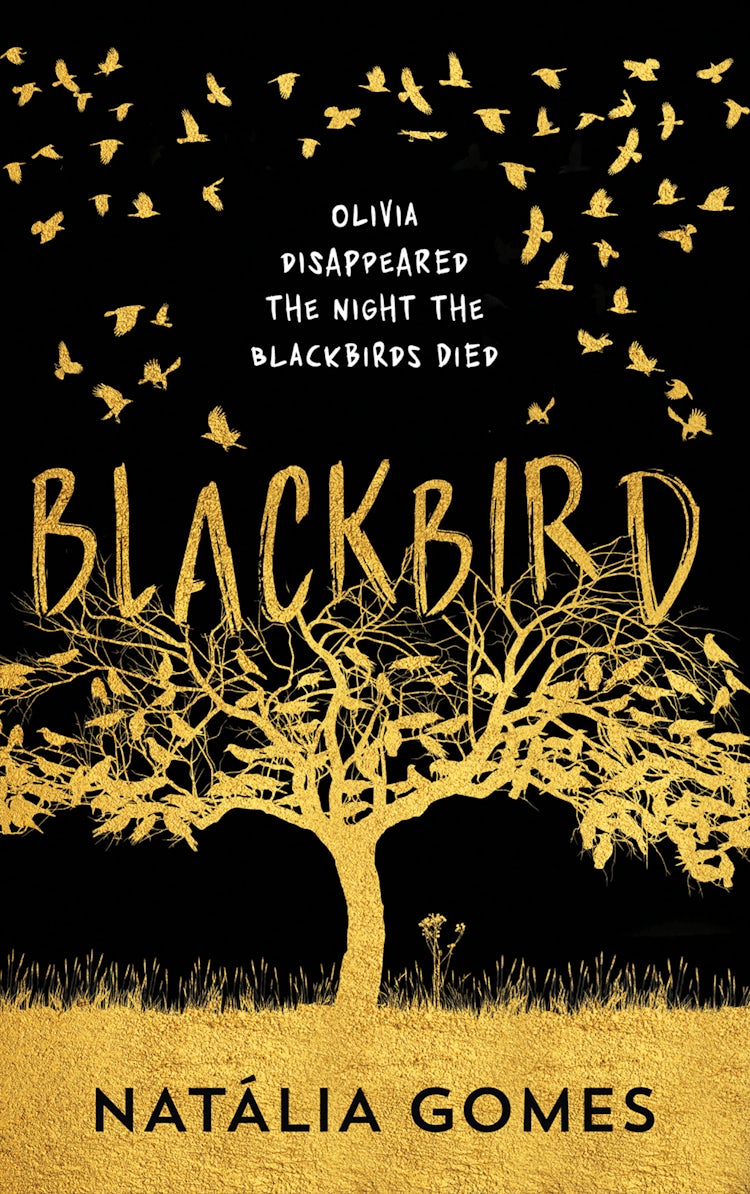 Cover image for Blackbird, isbn: 9780008184896