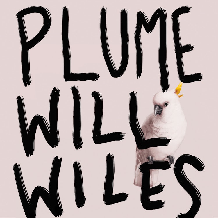 Cover image for Plume, isbn: 9780008194437