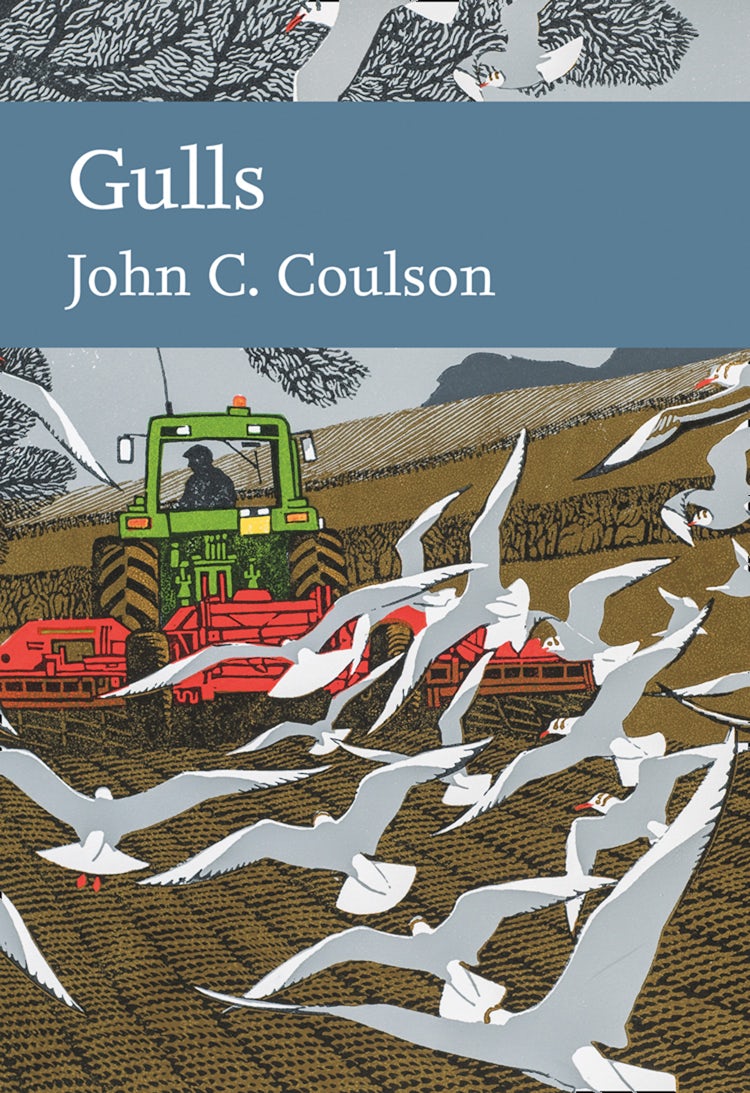 Cover image for Collins New Naturalist Library - Gulls, isbn: 9780008201425