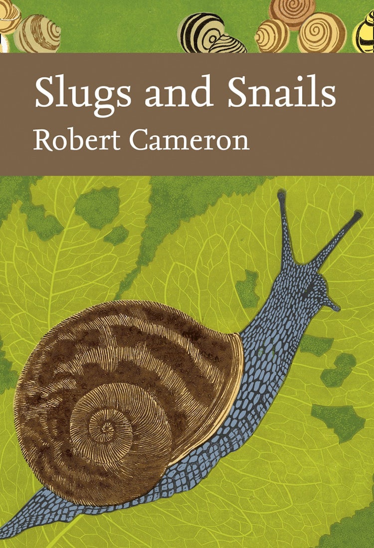Cover image for Slugs and Snails (Collins New Naturalist Library, Book 133), isbn: 9780008203498