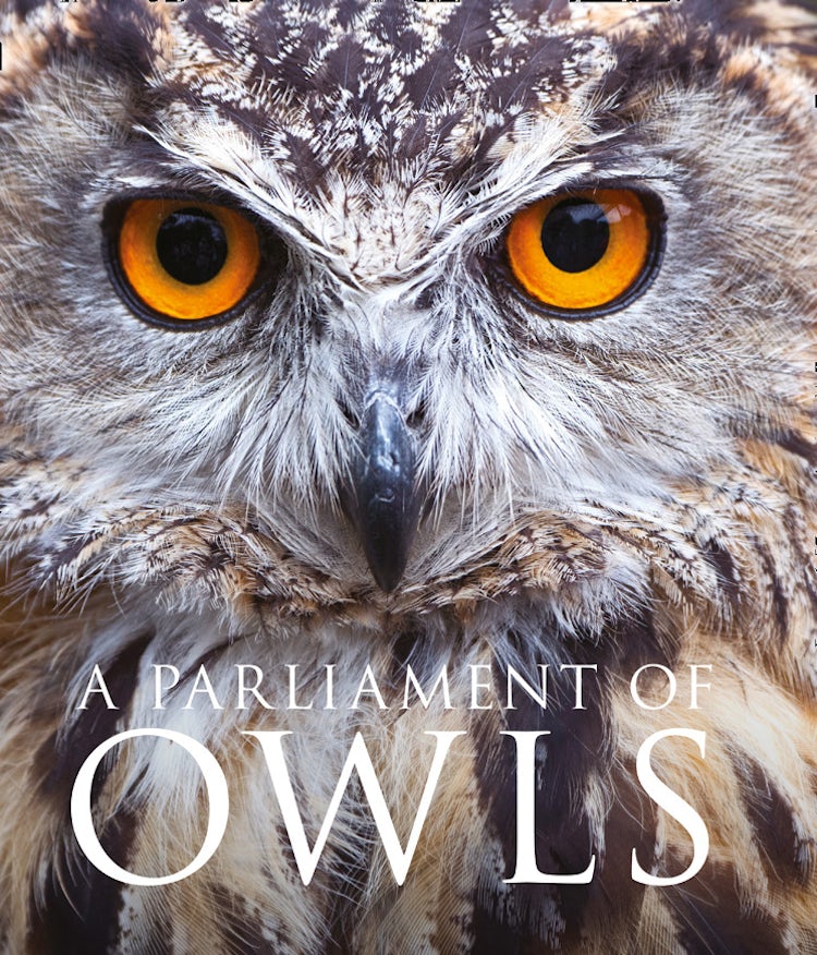 Cover image for A Parliament Of Owls, isbn: 9780008206703