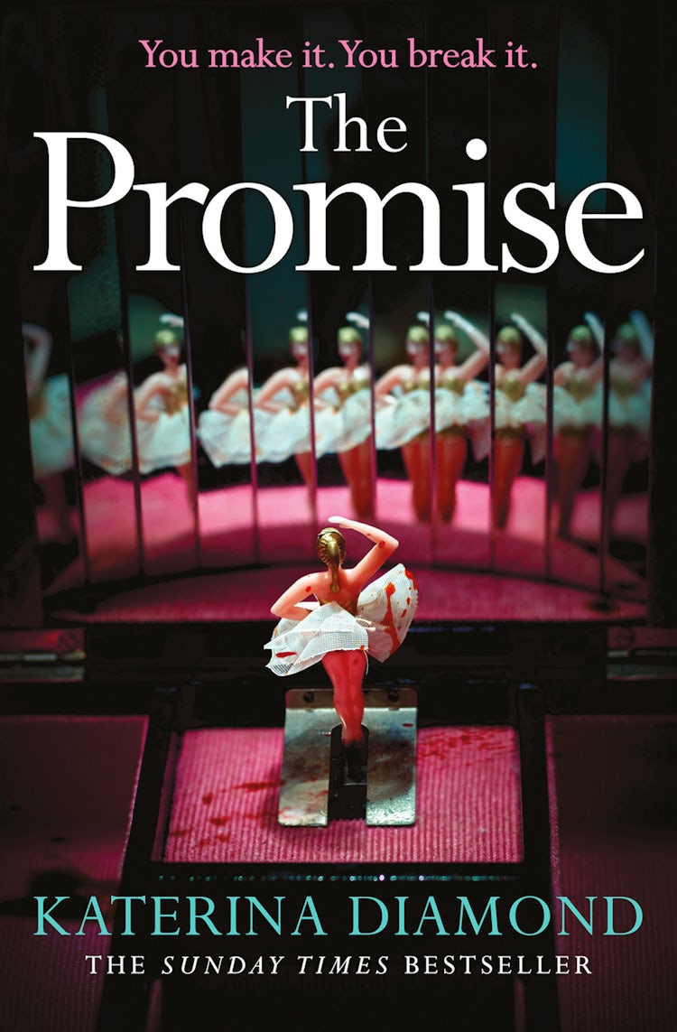 Cover image for The Promise, isbn: 9780008209216