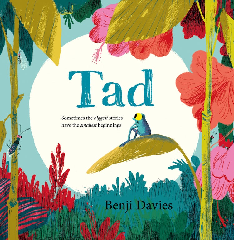 Cover image for Tad (Read Aloud by Dawn O’Porter), isbn: 9780008212780