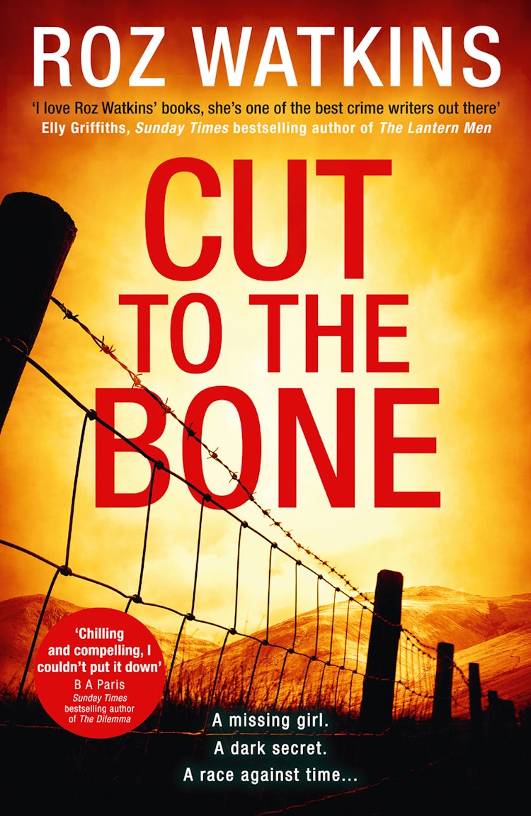 Cover image for Cut to the Bone (A DI Meg Dalton thriller, Book 3), isbn: 9780008214722