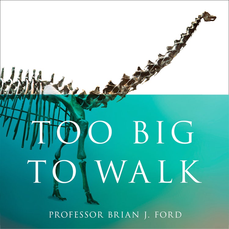 Cover image for Too Big to Walk: The New Science of Dinosaurs, isbn: 9780008218928