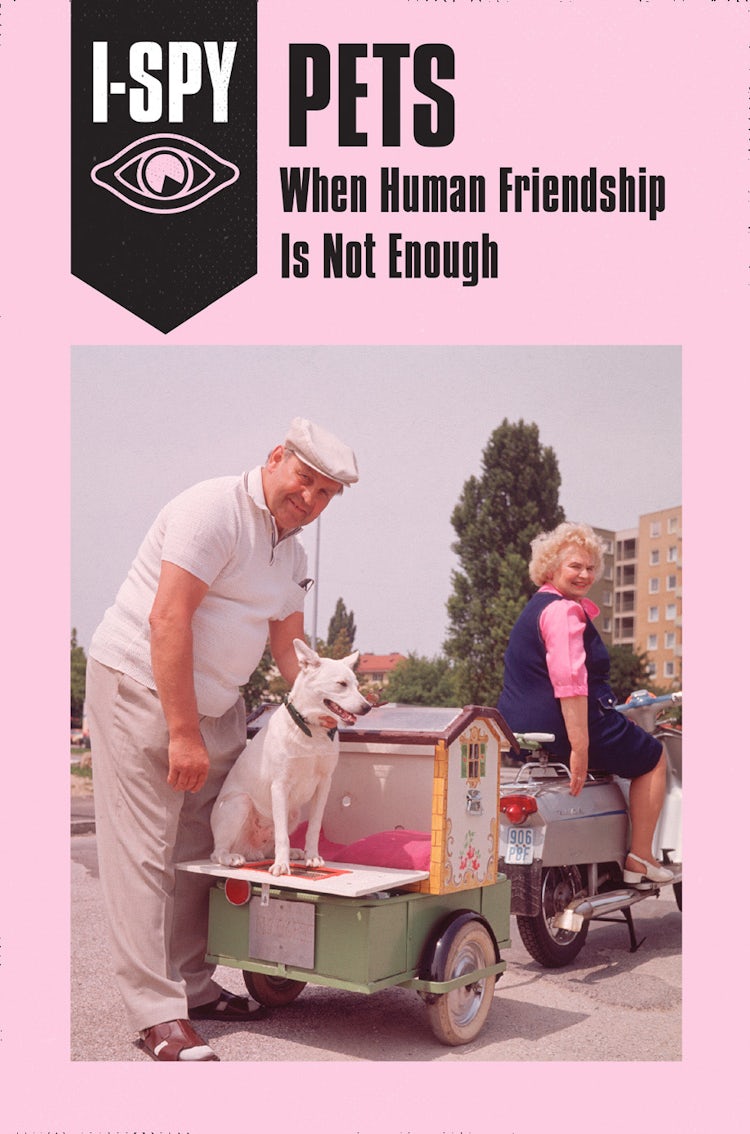 Cover image for I-Spy Pets: When Human Friendship Is Not Enough, isbn: 9780008220730