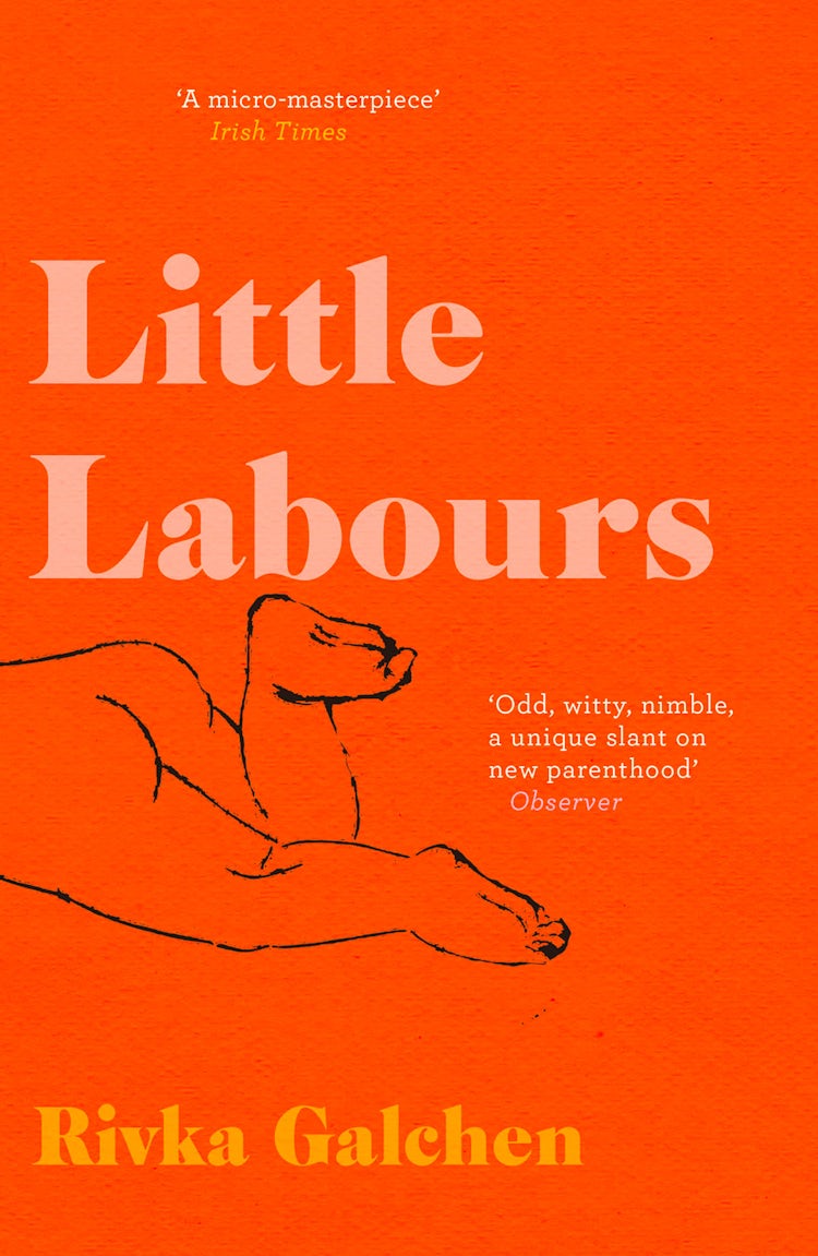 Cover image for Little Labours, isbn: 9780008225193