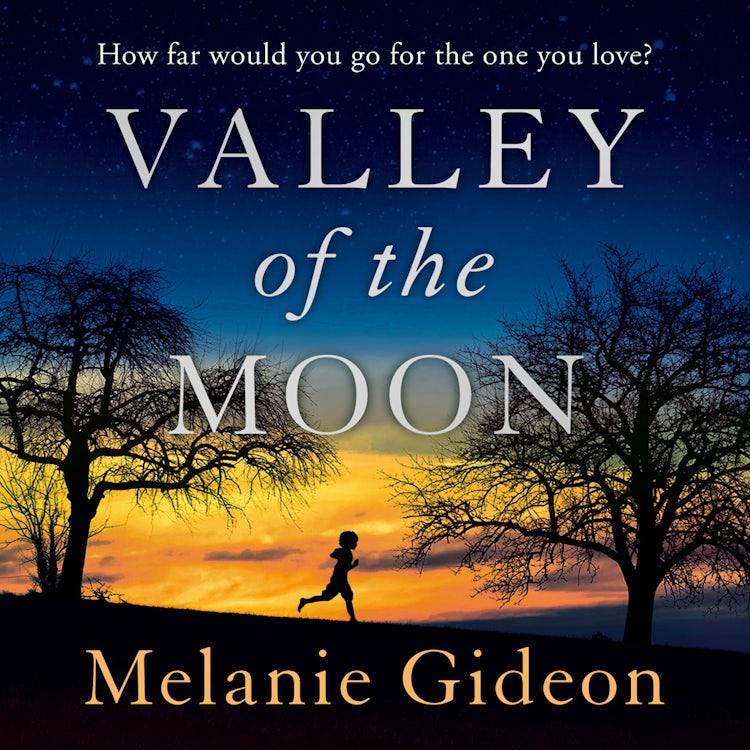 Cover image for Valley of the Moon, isbn: 9780008227807