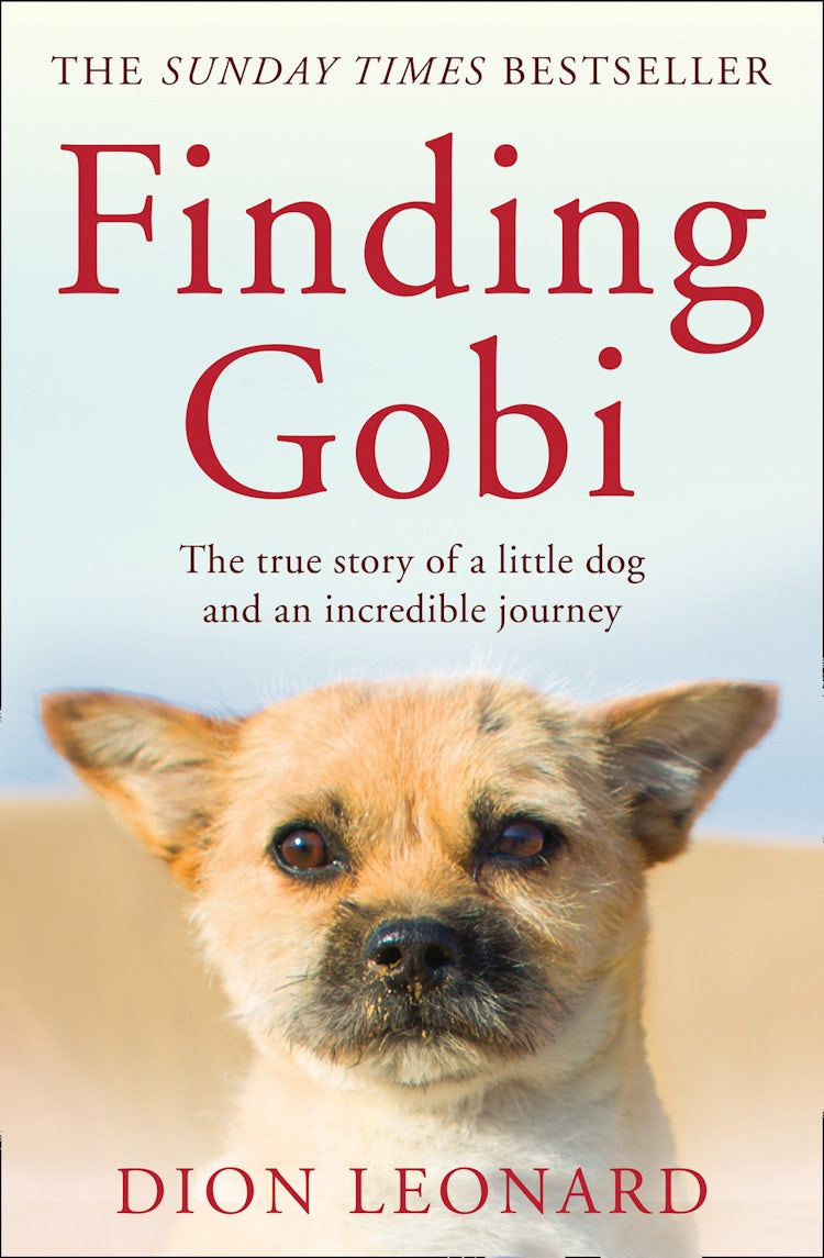 Cover image for Finding Gobi (Main Edition): The True Story of a Little Dog and an Incredible Journey, isbn: 9780008227975