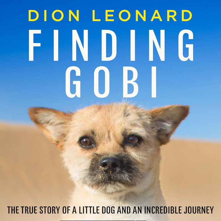 Cover image for Finding Gobi (Main edition): The true story of a little dog and an incredible journey, isbn: 9780008227982