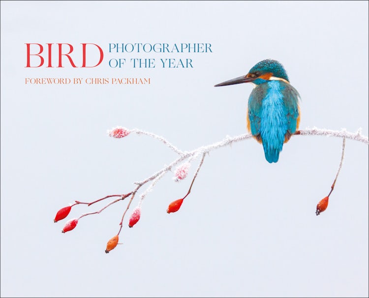 Cover image for Bird Photographer Of The Year: Collection 2, isbn: 9780008229313