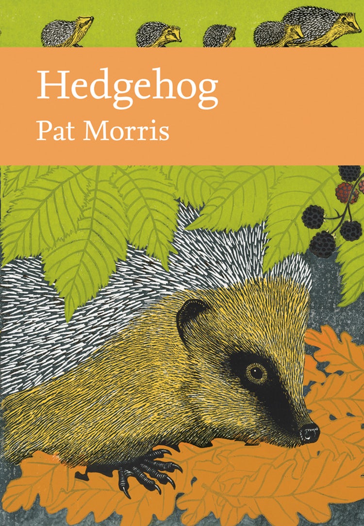 Cover image for Hedgehog (Collins New Naturalist Library, Book 137), isbn: 9780008235710