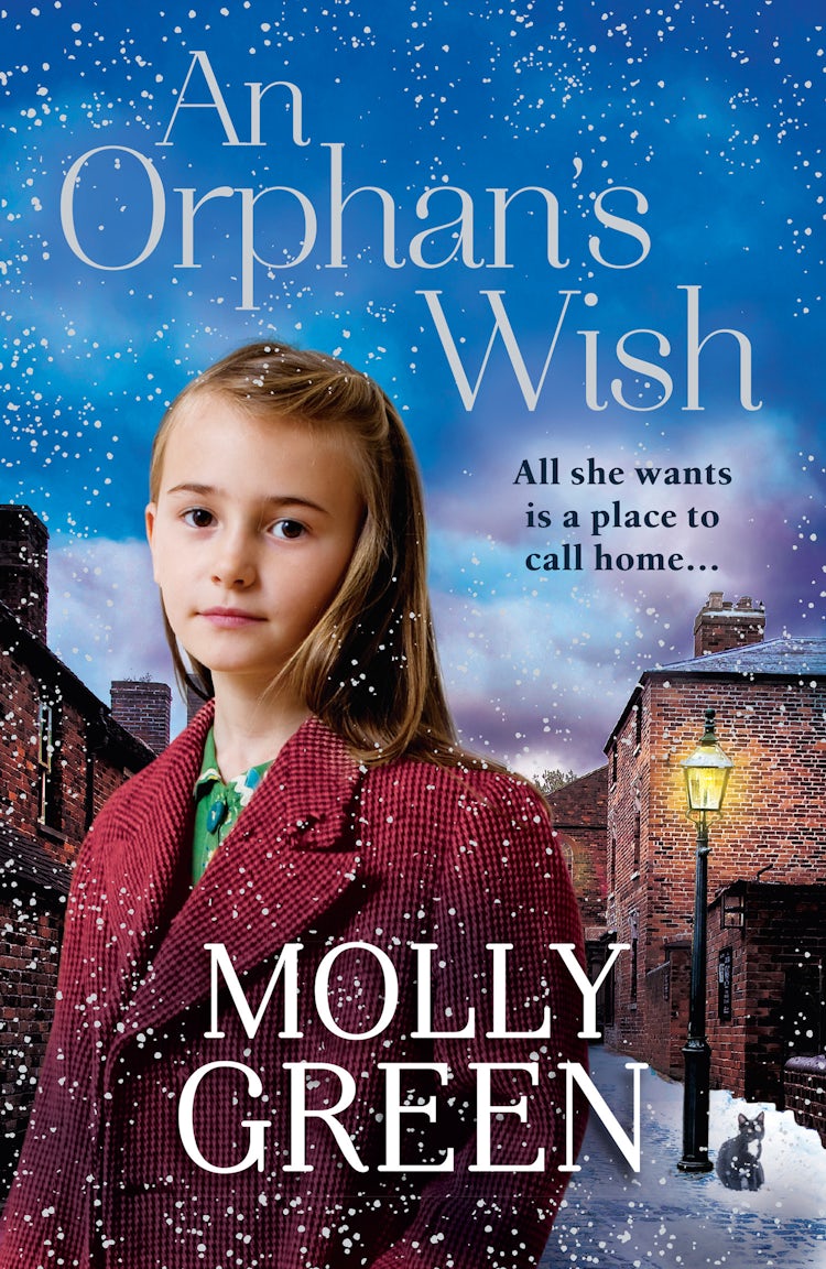 Cover image for An Orphan’s Wish, isbn: 9780008239015
