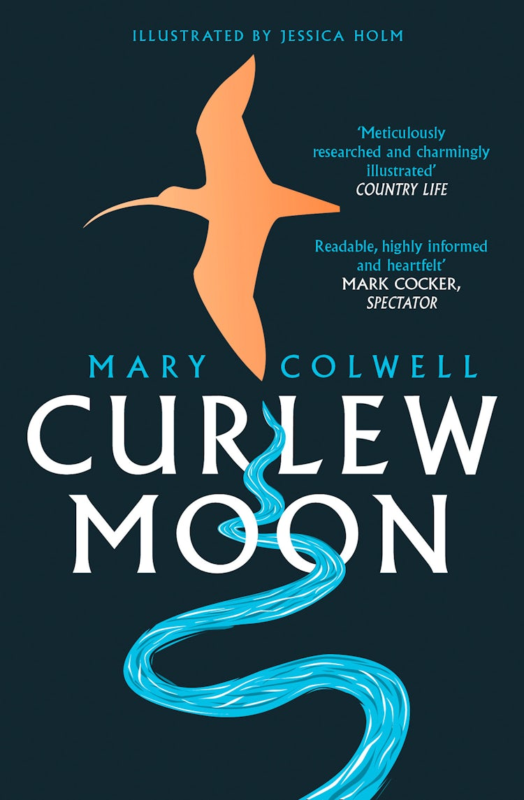 Cover image for Curlew Moon, isbn: 9780008241063