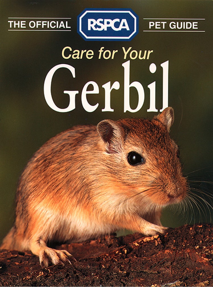 Cover image for Care for your Gerbil (The Official RSPCA Pet Guide), isbn: 9780008241889