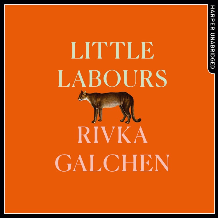 Cover image for Little Labours, isbn: 9780008242299