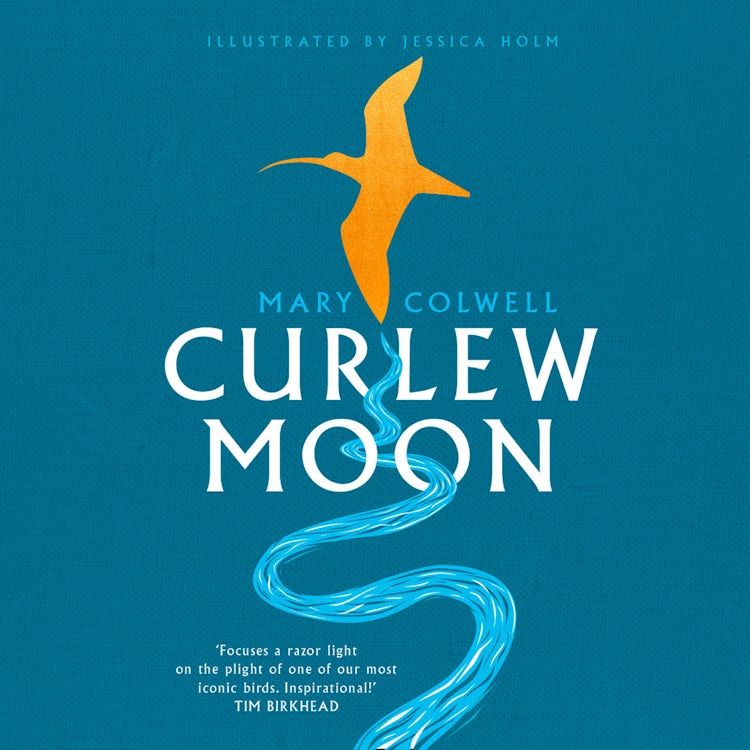 Cover image for Curlew Moon, isbn: 9780008242312