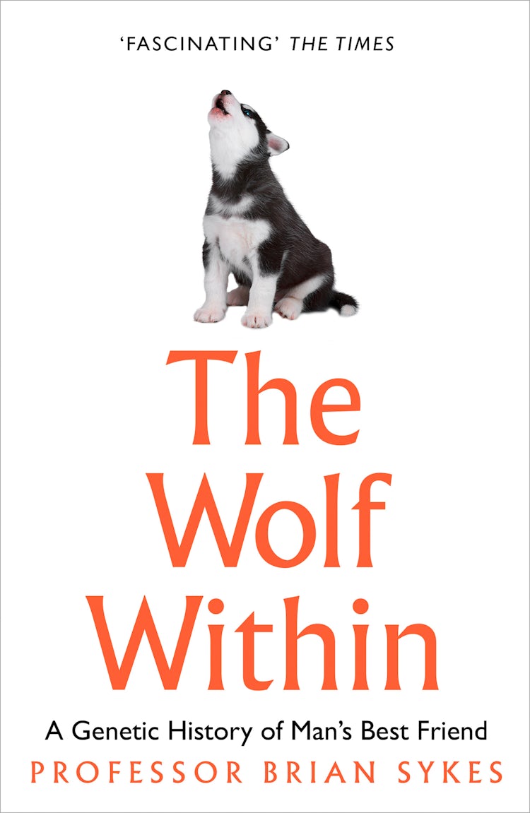 Cover image for The Wolf Within: The Astonishing Evolution of the Wolf into Man’s Best Friend, isbn: 9780008244439