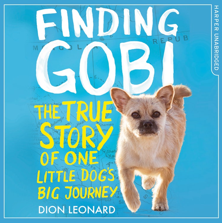 Cover image for Finding Gobi (Younger Readers edition): The true story of one little dog’s big journey, isbn: 9780008244545